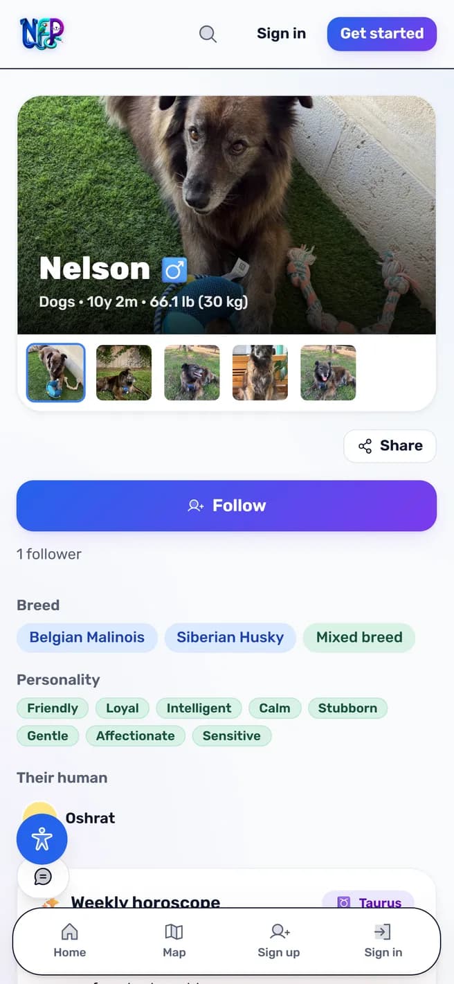 Example of a NetForPet pet profile, with a pet photo, breed information and a share button